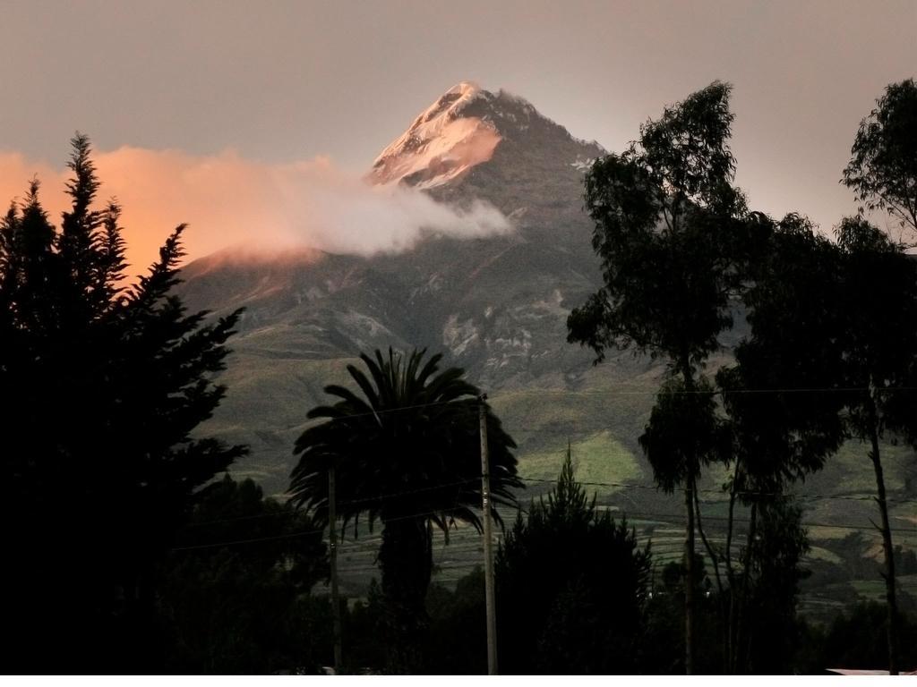 فندق La Quinta Colorada Lasso المظهر الخارجي الصورة