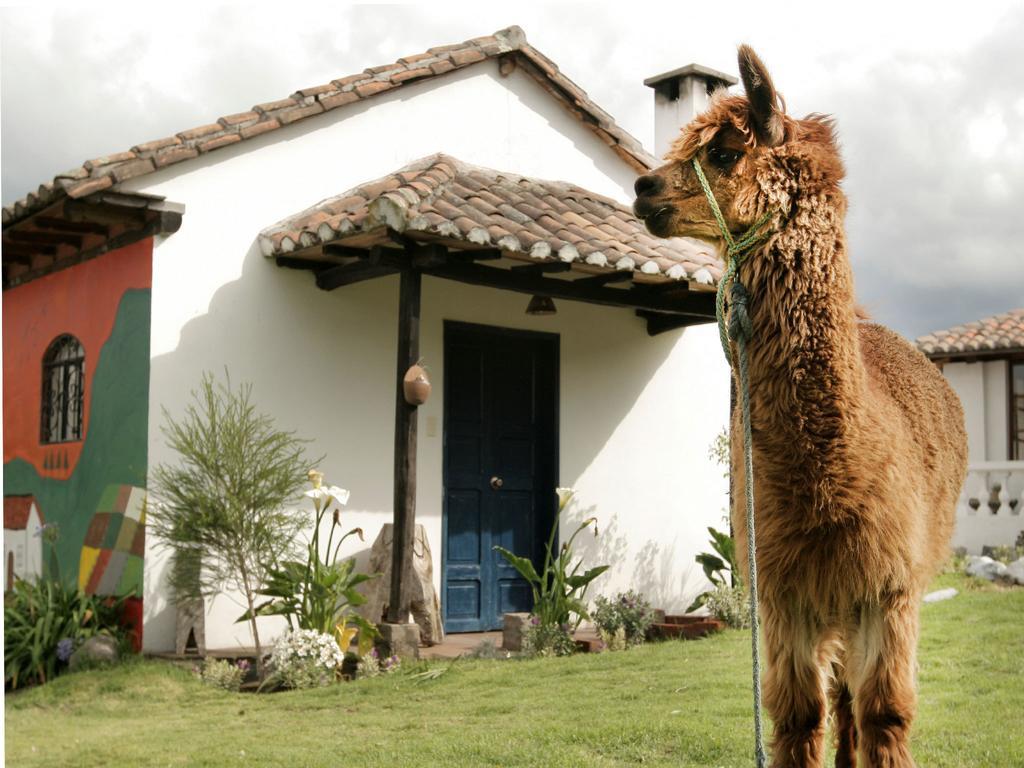 فندق La Quinta Colorada Lasso المظهر الخارجي الصورة