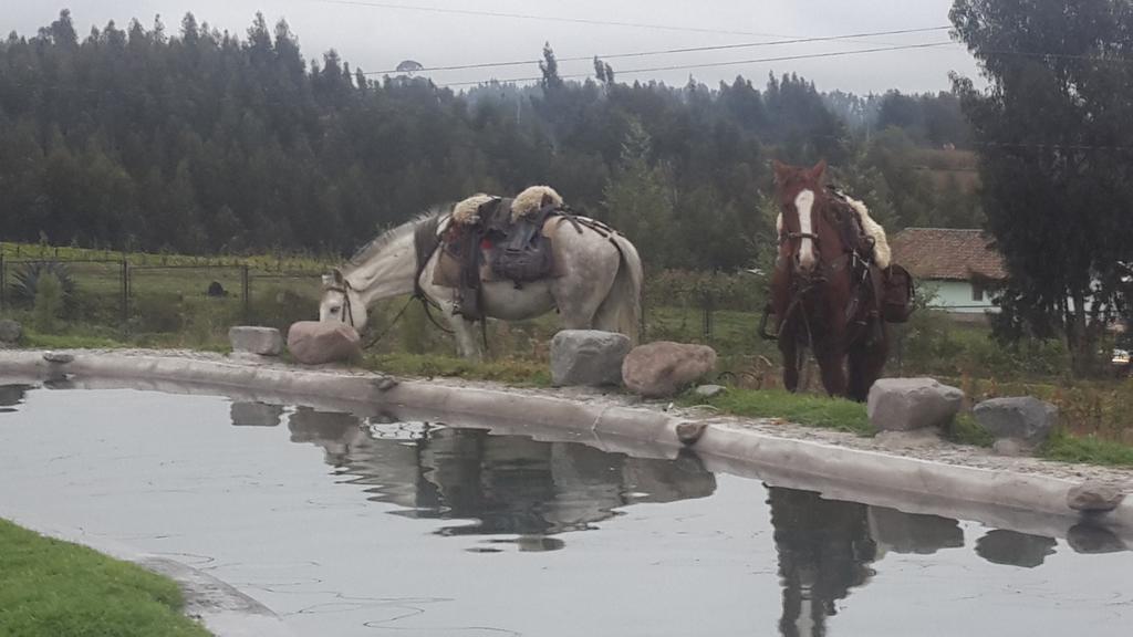 فندق La Quinta Colorada Lasso المظهر الخارجي الصورة
